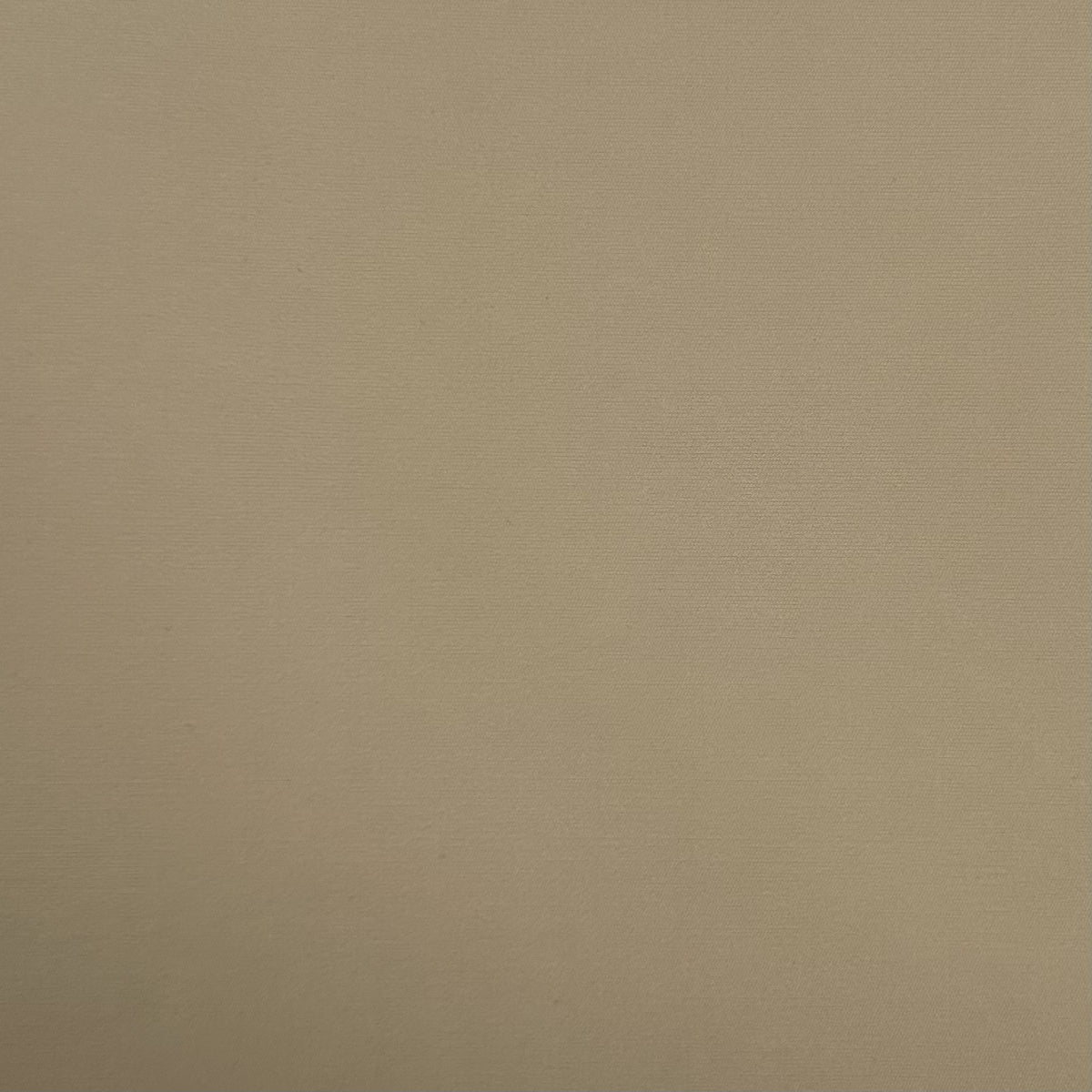 Solid beige color swatch