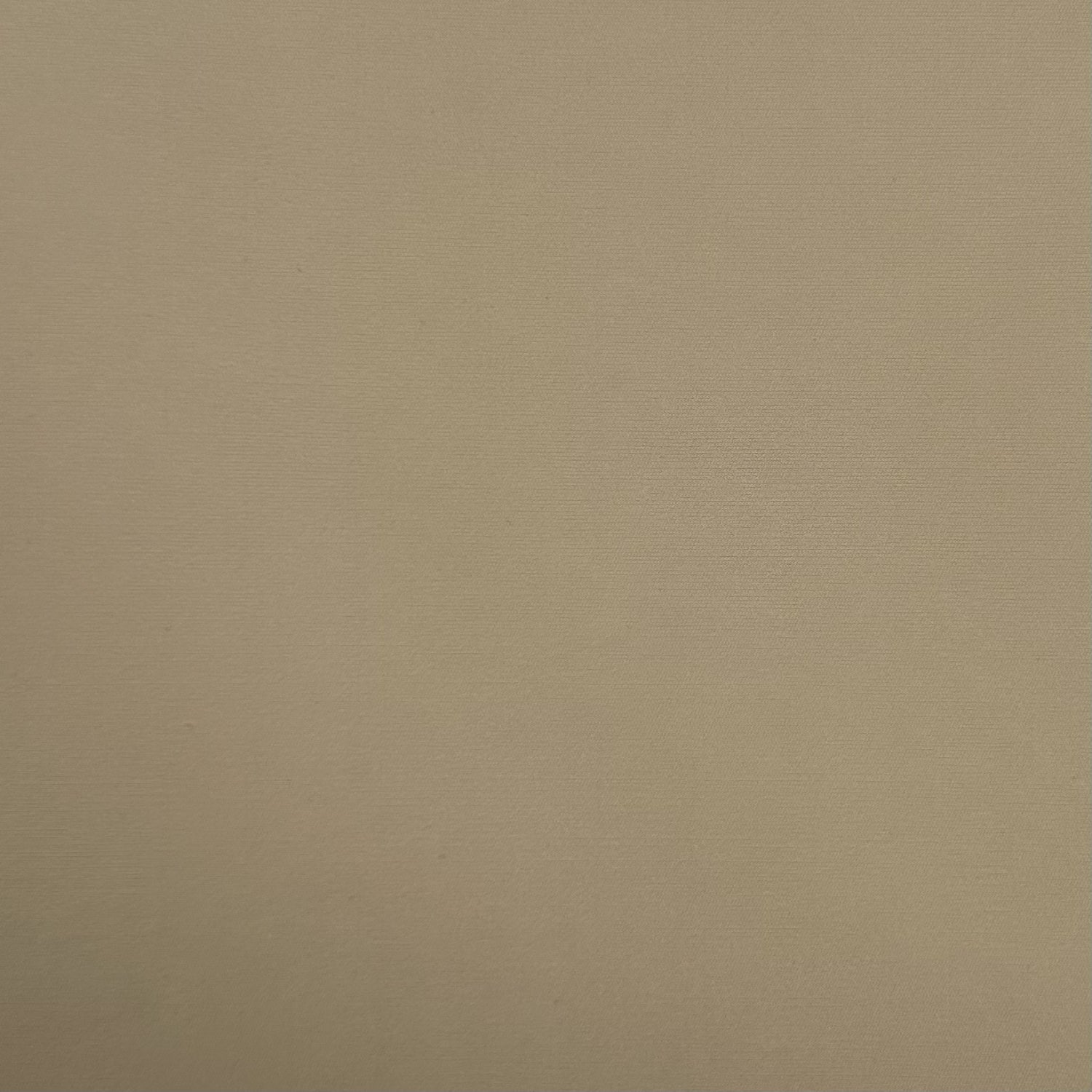 Solid beige color swatch