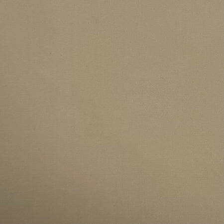 Solid beige color swatch