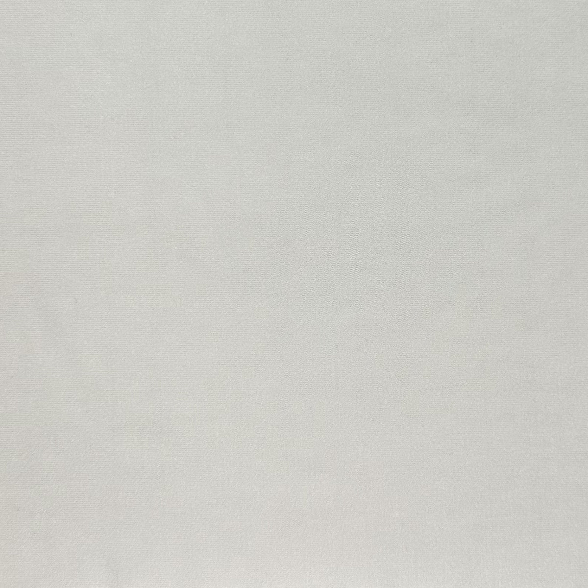 Solid light gray color swatch