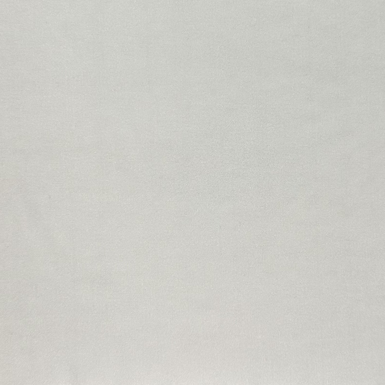 Solid light gray color swatch