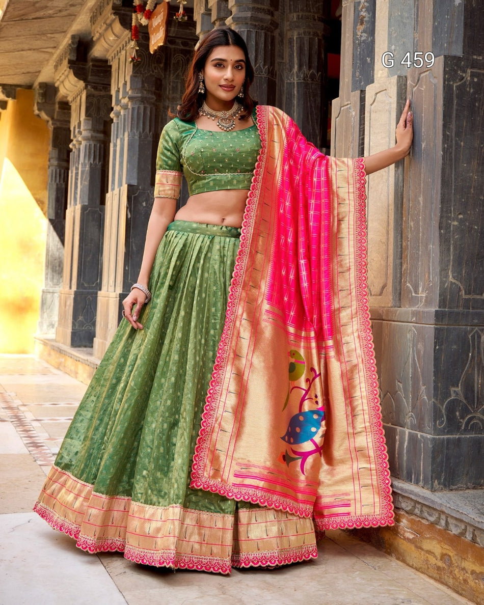 Classic Organza Lehenga with Elegant Border Design - G 459