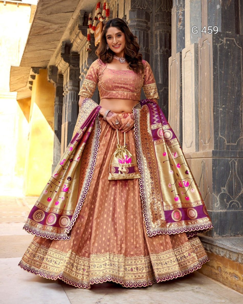 Classic Organza Lehenga with Elegant Border Design - G 459