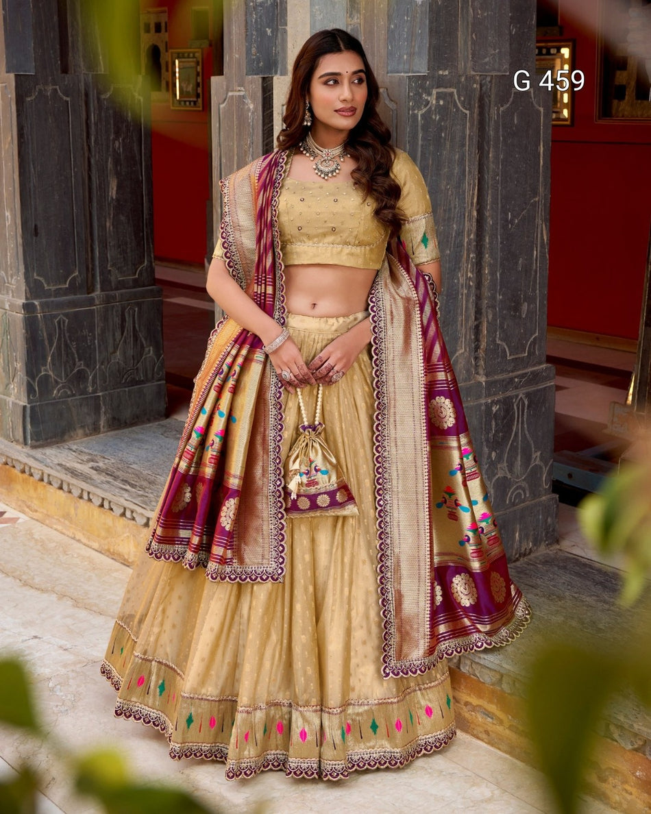 Classic Organza Lehenga with Elegant Border Design - G 459