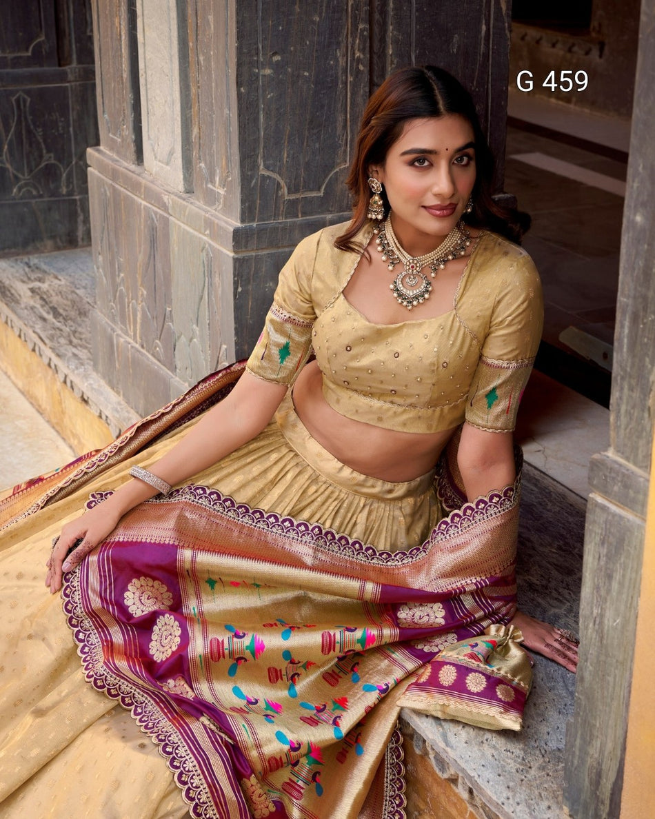 Classic Organza Lehenga with Elegant Border Design - G 459