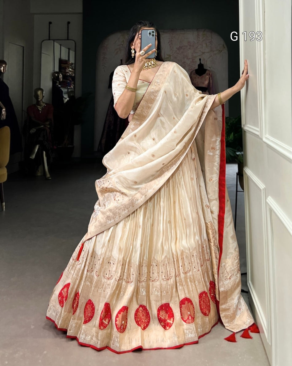 Pure Shimmer Lehenga with Mirror and Beads Hand Work – G 193