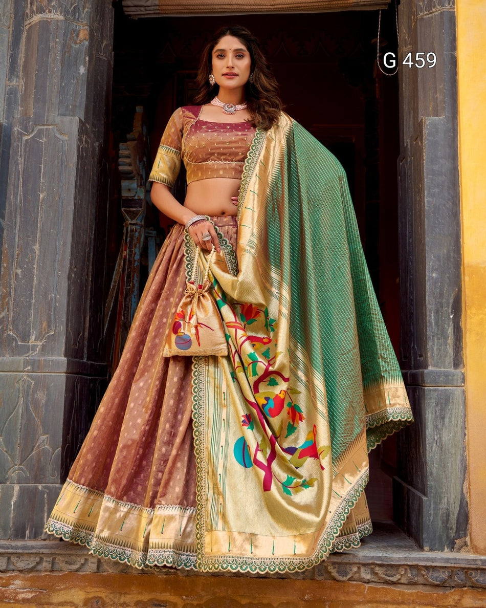 Classic Organza Lehenga with Elegant Border Design - G 459