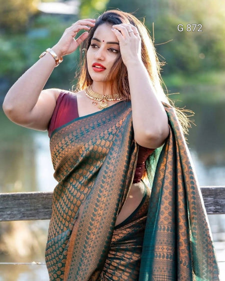 Woman in a traditional saree with a blurred natural background